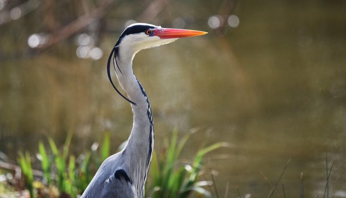在宅ライターって儲かるの 高校生から在宅ライターをしていた体験談 Sugi Mag スギマグ