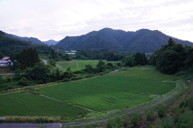 田舎の田んぼを撮影してみた_α77