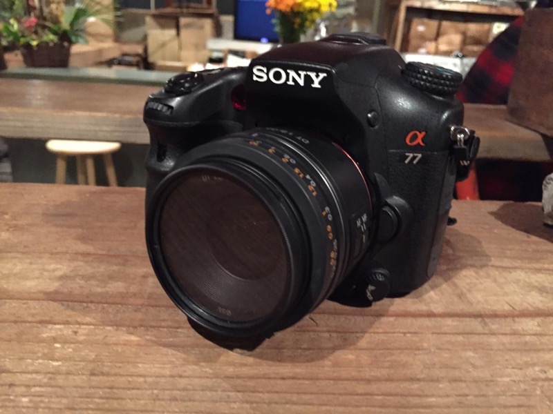 SONYの撒き餌レンズ Aマウント 単焦点レンズ DT 35mm F1.8 SAM 作例 