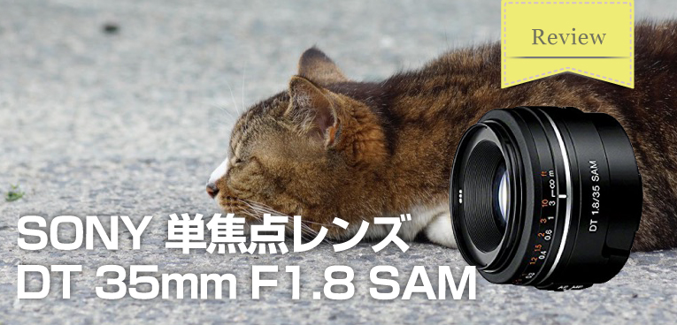 SONYの撒き餌レンズ Aマウント 単焦点レンズ DT 35mm F1.8 SAM 作例まとめ｜SUGI MAG (スギマグ)