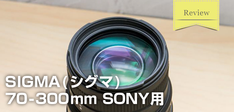 SONY Aマウント】SIGMA 70-300mm F4-5.6 DG MACRO 実写レビュー 高コスパな望遠レンズが欲しい方におすすめ！｜SUGI  MAG (スギマグ)