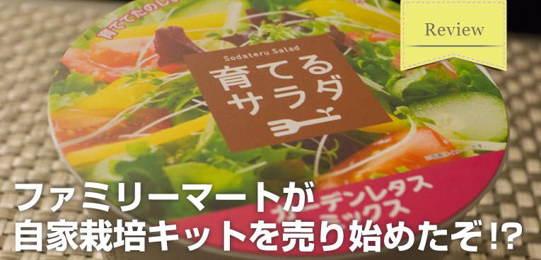 一人暮らしが寂びすぎるのでファミリーマートの 育てるサラダ 育てるヤクミ を栽培して実際に食べてみた Sugi Mag スギマグ