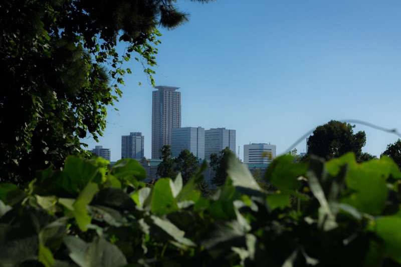 君の名は 東京 新宿 信濃町 四ツ谷 渋谷周辺の聖地 まとめ Sugi Mag スギマグ