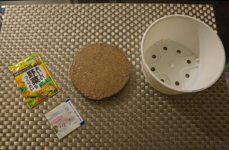 一人暮らしが寂びすぎるのでファミリーマートの 育てるサラダ 育てるヤクミ を栽培して実際に食べてみた Sugi Mag スギマグ