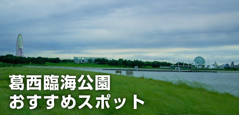 葛西臨海公園が散歩やデートやbbqやドライブスポットにおすすめ Sugi Mag スギマグ