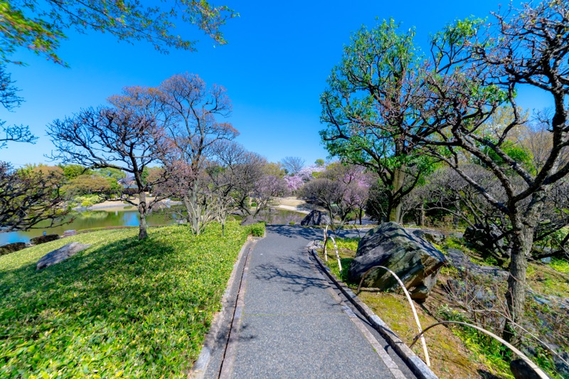 埼玉でポートレート撮るなら越谷の住宅街にある日本庭園 花田苑 がおすすめ Sugi Mag スギマグ