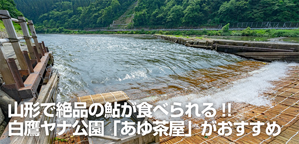 白鷹ヤナ公園 鮎茶屋 あゆ茶屋 は山形で絶品鮎が食べられるおすすめスポット まとめ Sugi Mag スギマグ